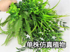 �U�w�^�U